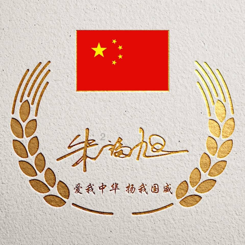 探索养小乌龟要放很多水吗?!红迪网,走进分享创意的社区